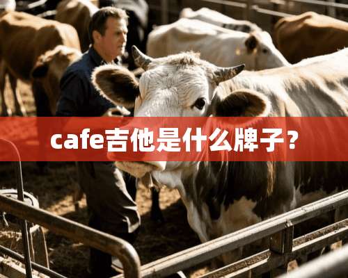 cafe吉他是什么牌子？