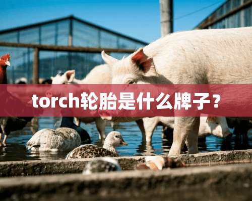 torch轮胎是什么牌子？