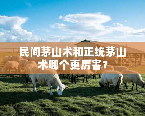 民间茅山术和正统茅山术哪个更厉害？