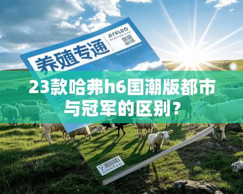 23款哈弗h6国潮版都市与冠军的区别？