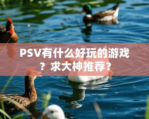 PSV有什么好玩的游戏？求大神推荐？