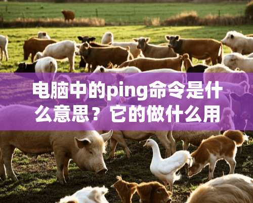 电脑中的ping命令是什么意思？它的做什么用的 ？