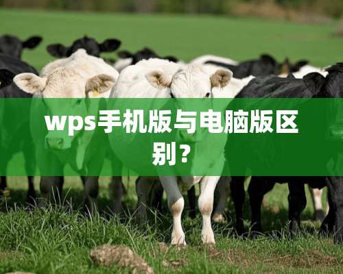 wps手机版与电脑版区别？