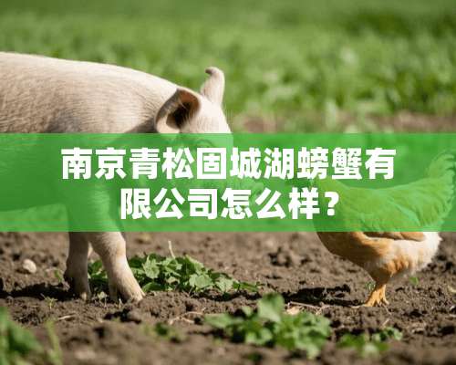 南京青松固城湖螃蟹有限公司怎么样？