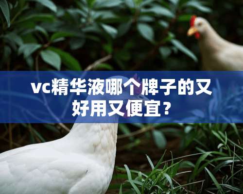 vc***哪个牌子的又好用又便宜？