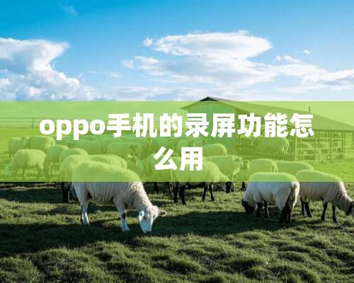 oppo手机的录屏功能怎么用