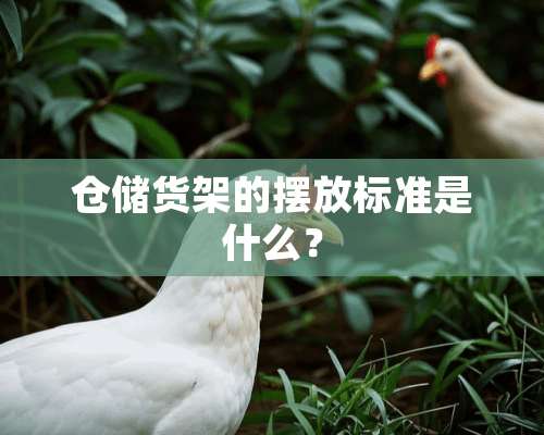 仓储货架的摆放标准是什么？