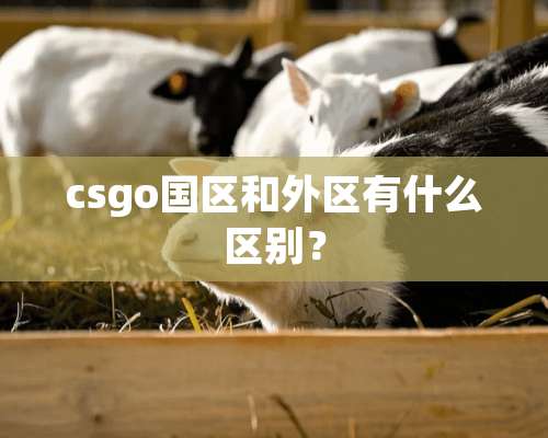 csgo国区和外区有什么区别？