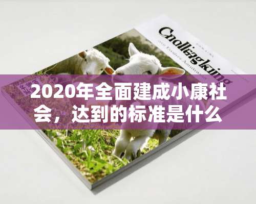 2020年全面建成小康社会，达到的标准是什么。是人均收入增加到多少吗