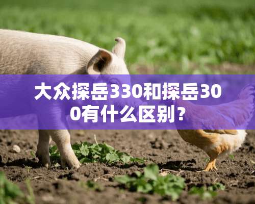 大众探岳330和探岳300有什么区别？