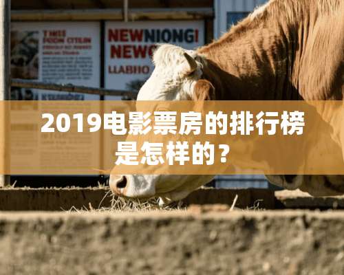 2019电影票房的排行榜是怎样的？