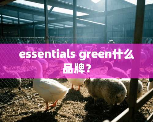 essentials green什么品牌？