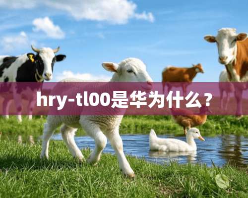 hry-tl00是华为什么？