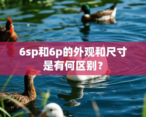 6sp和6p的外观和尺寸是有何区别？