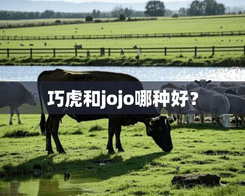 巧虎和jojo哪种好？