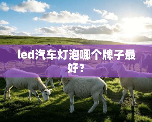 led汽车灯泡哪个牌子最好？