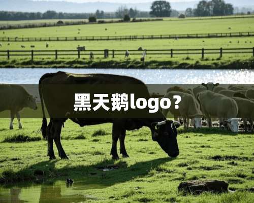 黑天鹅logo？