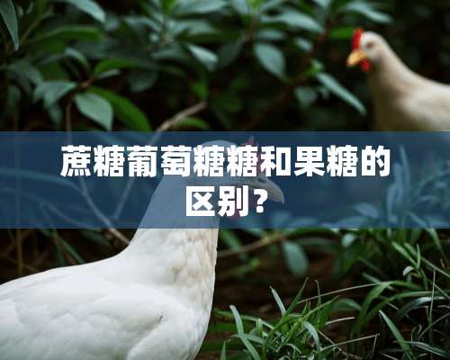 蔗糖葡萄糖糖和果糖的区别？