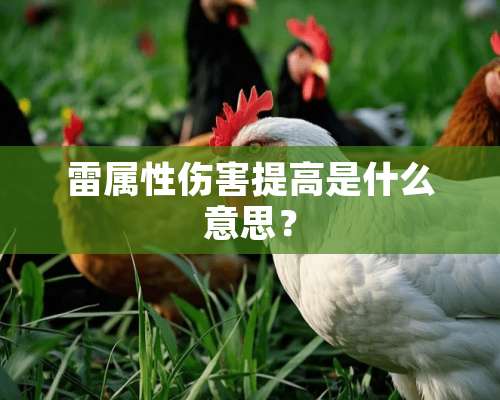 雷属性伤害提高是什么意思？