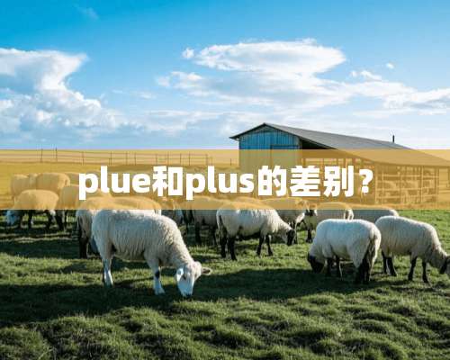 plue和plus的差别？