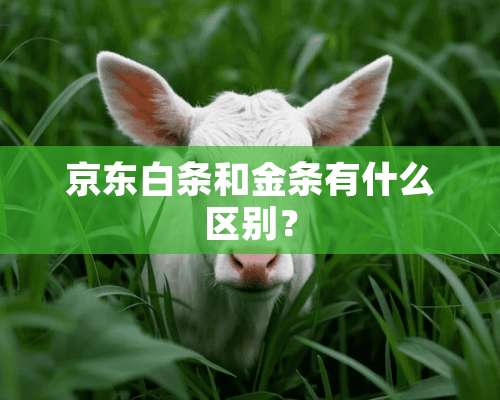 京东白条和金条有什么区别？