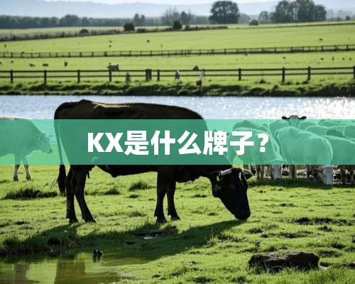 KX是什么牌子？