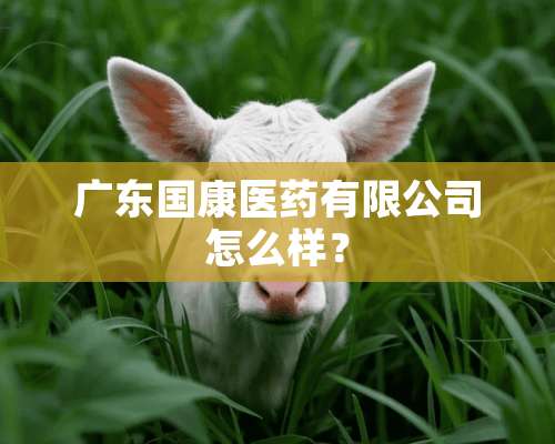 广东国康医药有限公司怎么样？