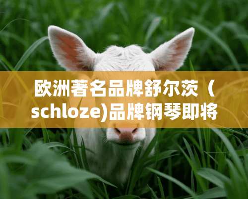 欧洲著名品牌舒尔茨（schloze)品牌钢琴即将在中国上市，有谁了解具体情况？