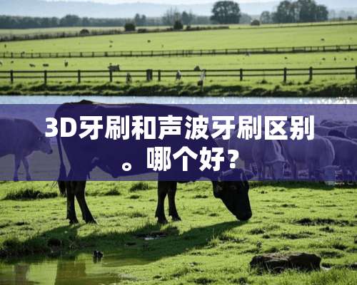 3D牙刷和声波牙刷区别。哪个好？