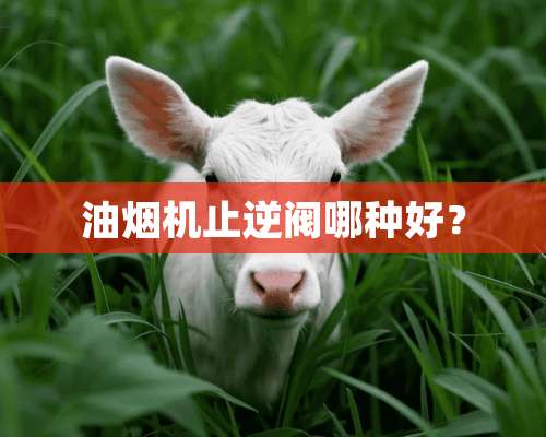 油烟机止逆阀哪种好？