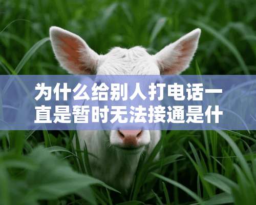 为什么给别人打电话一直是暂时无法接通是什么意思？