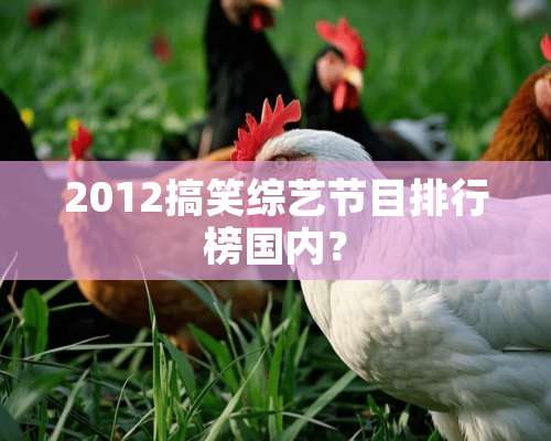 2012搞笑综艺节目排行榜国内？