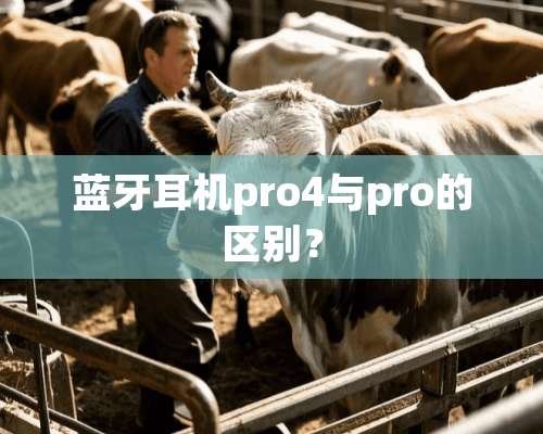 蓝牙耳机pro4与pro的区别？