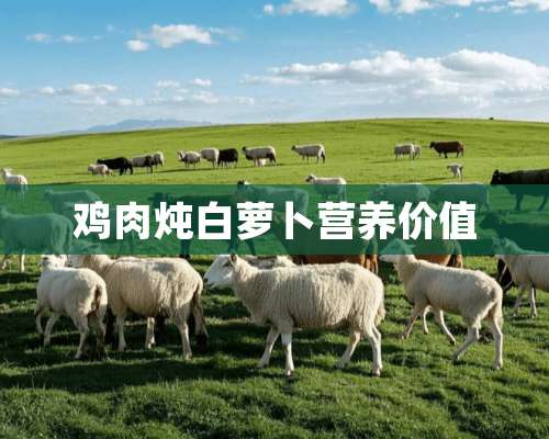 鸡肉炖白萝卜营养价值