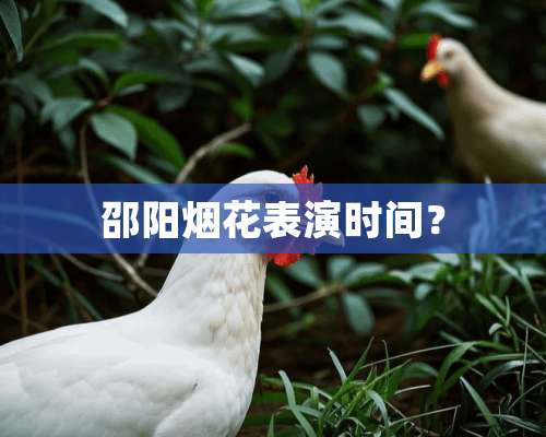 邵阳烟花表演时间？