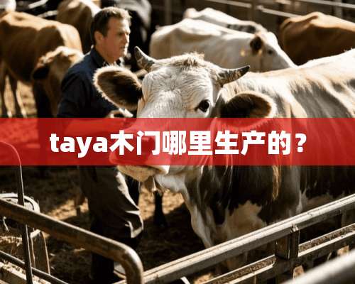 taya木门哪里生产的？