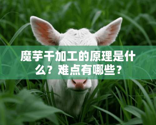 魔芋干加工的原理是什么？难点有哪些？