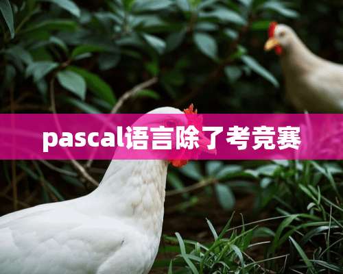 pascal语言除了考竞赛