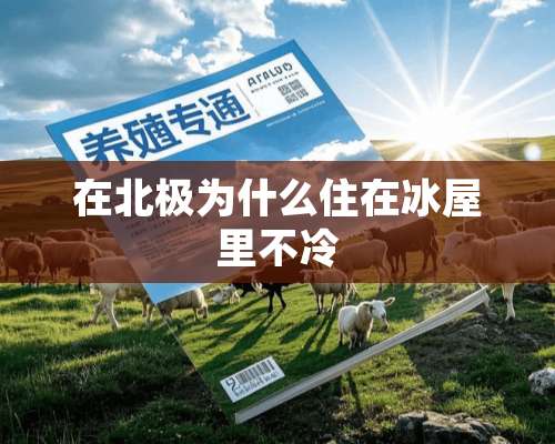 在北极为什么住在冰屋里不冷