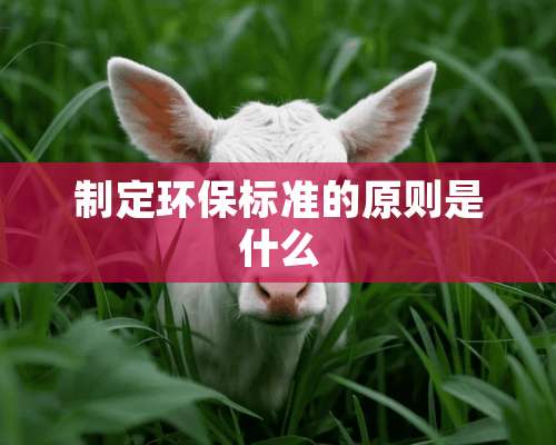 制定环保标准的原则是什么