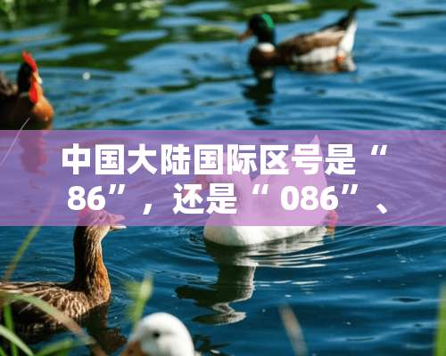 中国**国际区号是“ 86”，还是“ 086”、“ 0086”