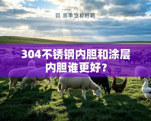 304不锈钢内胆和涂层内胆谁更好？