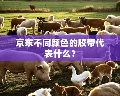 京东不同颜色的胶带代表什么？