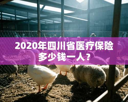 2020年四川省医疗保险多少钱一人？