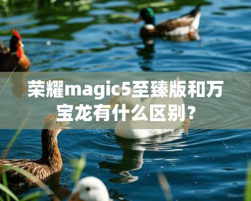 荣耀magic5至臻版和万宝龙有什么区别？