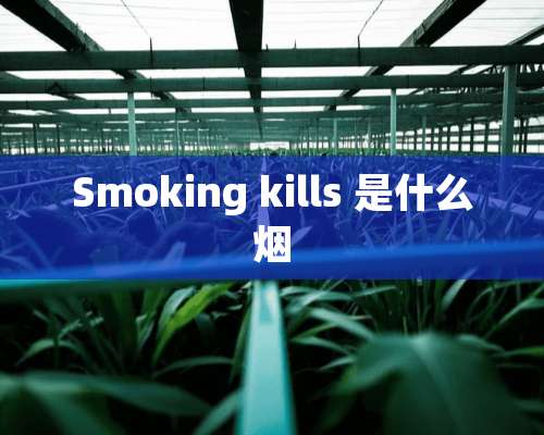 Smoking kills 是什么烟