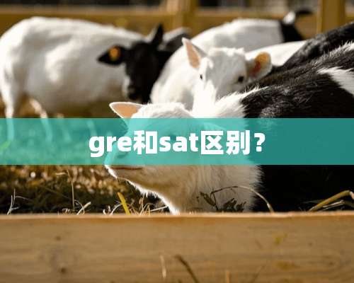 gre和sat区别？