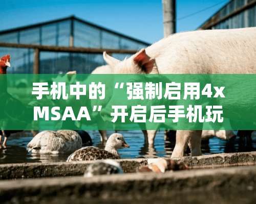 手机中的“强制启用4xMSAA”开启后手机玩游戏会更流畅还是更卡？