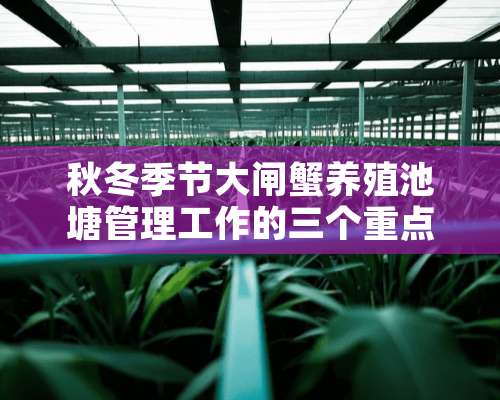 秋冬季节大闸蟹养殖池塘管理工作的三个重点