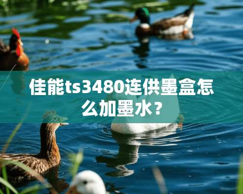 佳能ts3480连供墨盒怎么加墨水？